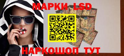 крисы Пенза