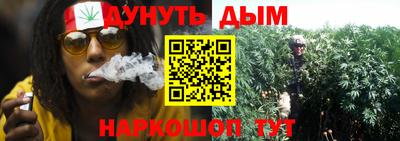 крисы Пенза
