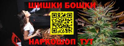 крисы Пенза