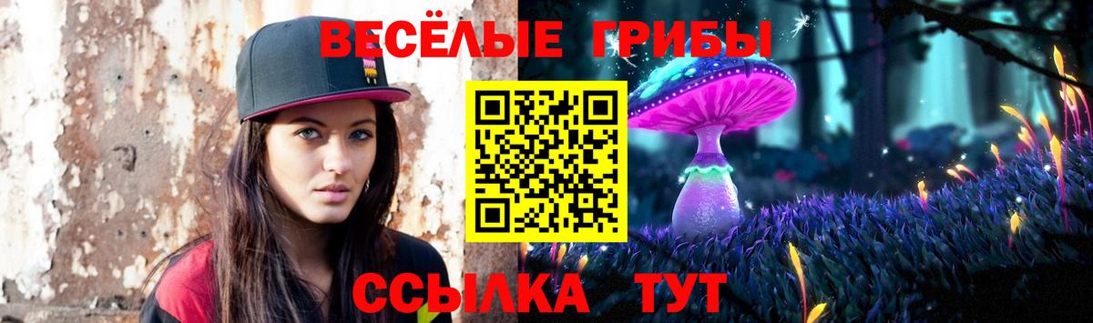Солнечногорск  Галлюциногенные грибы мухоморы  Вход с VPN  Галлюциногенные грибы Magic Shrooms 